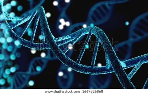 blue-helix-human-dna-structure-600w-1669326868